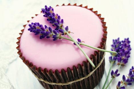Lavendel Cupcake // © RuthBlack Lavendel Cupcake // © RuthBlack