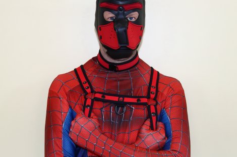 Rubäus Spiderdog © vvg