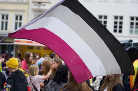 Die Flagge der asexuellen Community @ IMAGO / Willi Schewski
