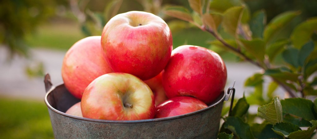 Herbst-Rezepte