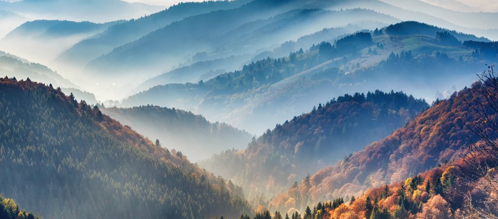Frühling im Schwarzwald