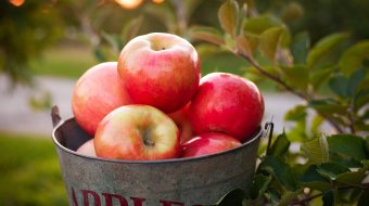 Herbst-Rezepte