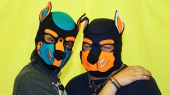 Pup Dary und Pup Lucifer