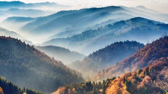 Frühling im Schwarzwald